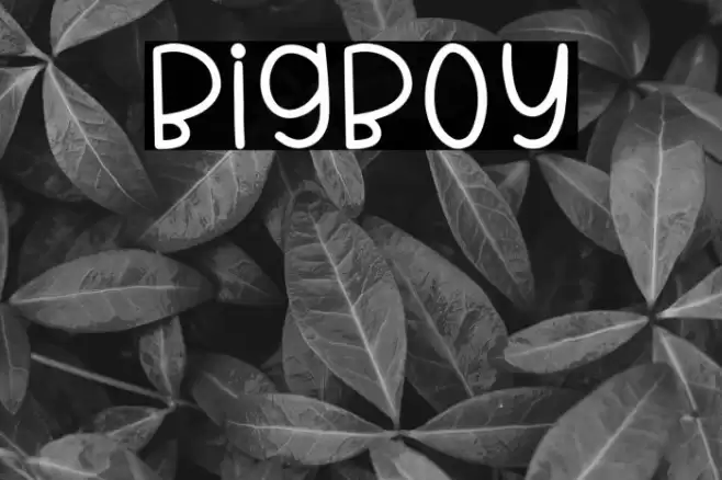 BigBoy Font examples