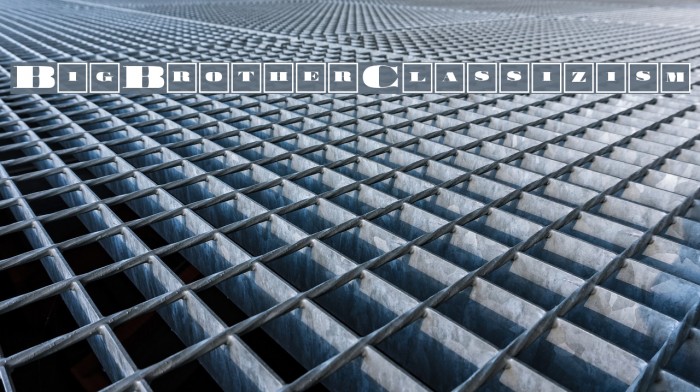 BigBrotherClassizism Example 1