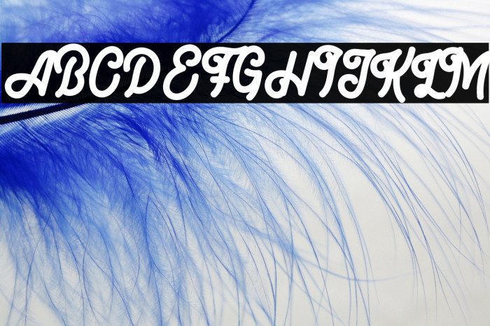 BigBrow-Regular Example 2