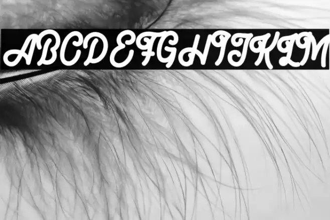 BigBrow-Regular Font examples