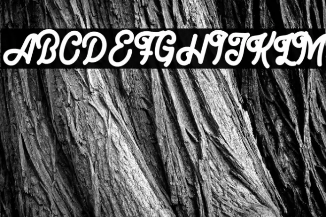 BigBrow-Regular Font examples