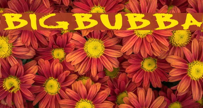 BigBubba Font examples
