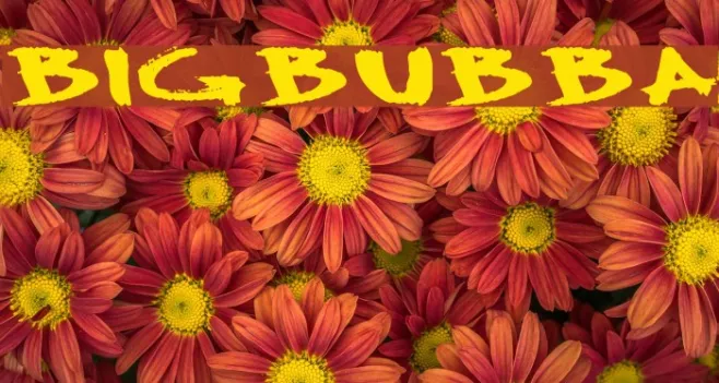 BigBubba Example 3