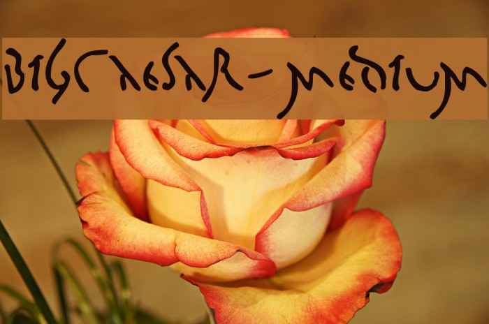 BigCaesar-Medium Font examples