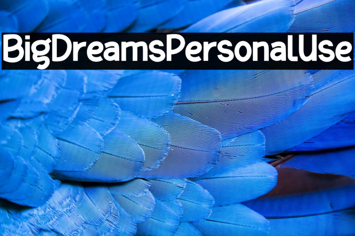 BigDreamsPersonalUse Example 1