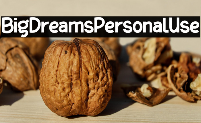 BigDreamsPersonalUse Example 3