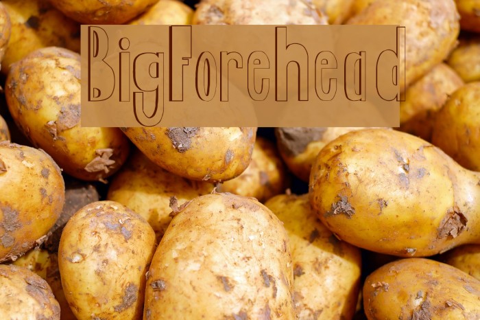 BigForehead Font examples