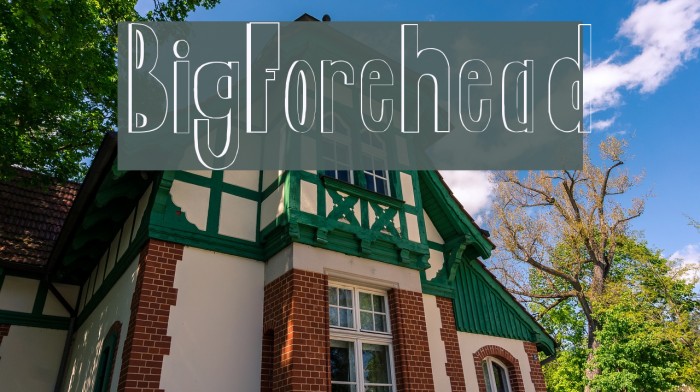 BigForehead Font examples