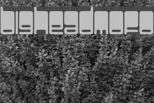 BigHeadMofo Font examples