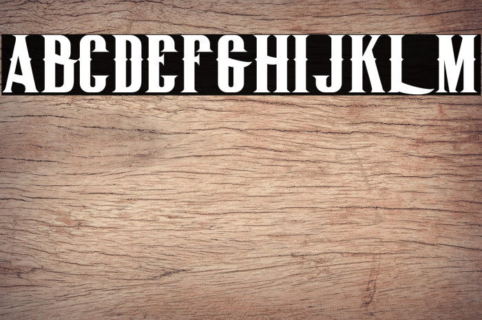 BigLodgeTypeFree Example 1