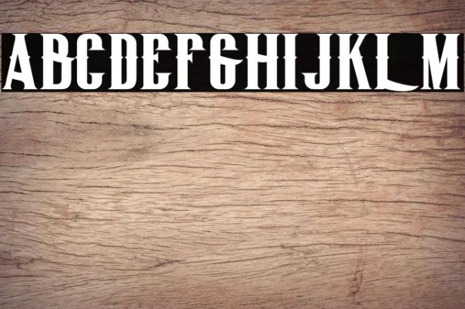 BigLodgeTypeFree Example 1