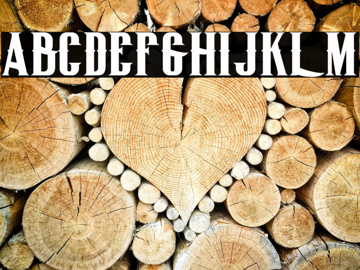 BigLodgeTypeFree Example 2