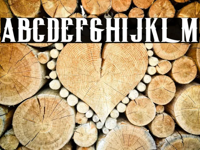 BigLodgeTypeFree Example 2