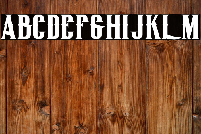 BigLodgeTypeFree Example 3