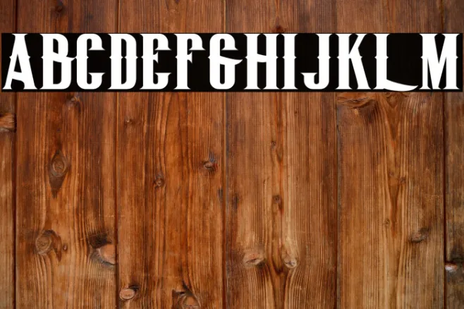 BigLodgeTypeFree Example 3