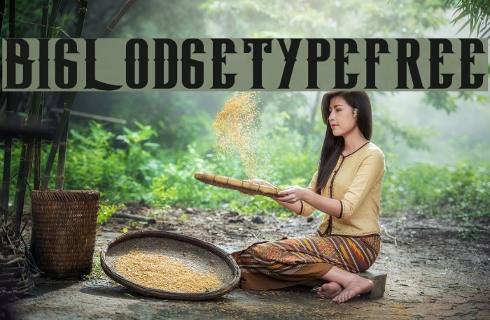 BigLodgeTypeFree Font examples