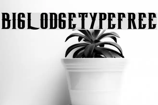 BigLodgeTypeFree Font examples