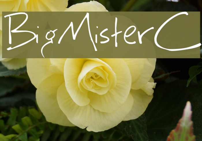BigMisterC Font examples