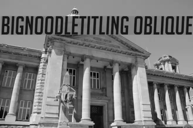 BigNoodleTitling Oblique Fuentes examples