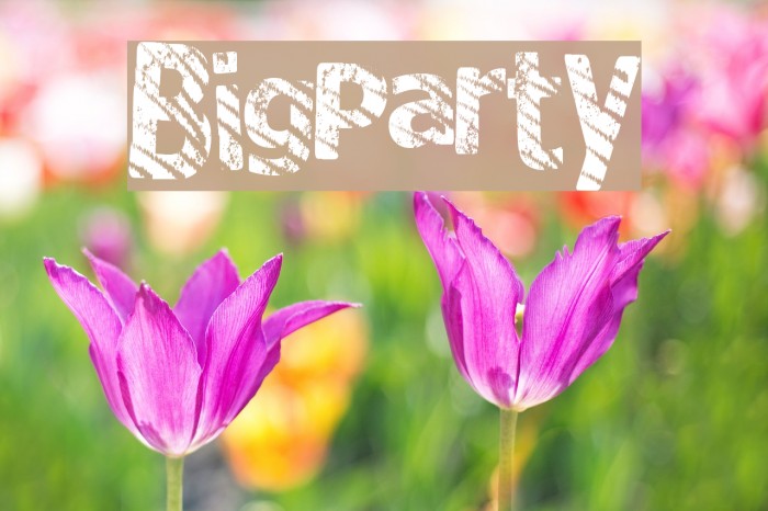 BigParty Font examples
