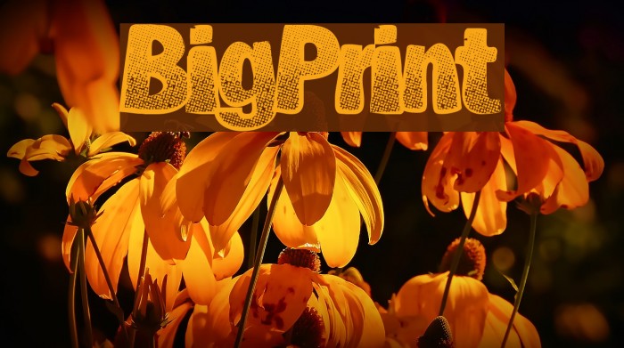 BigPrint Font examples