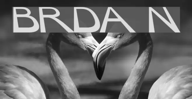 BigRedDAy Normal Font examples