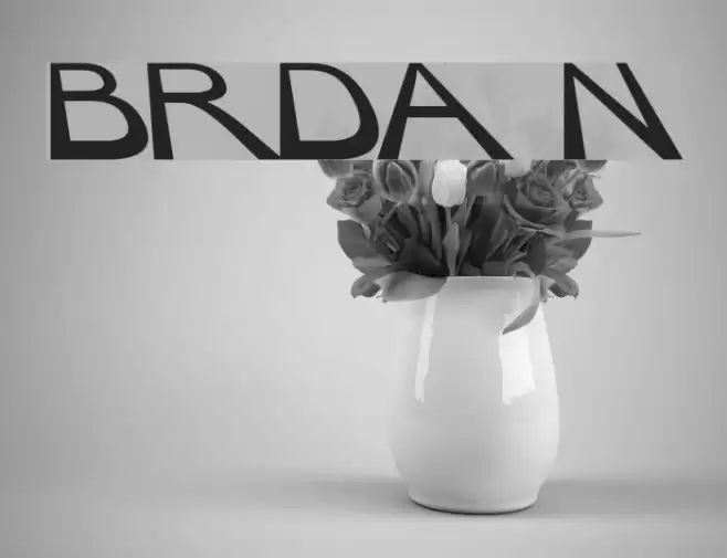 BigRedDAy Normal Font examples