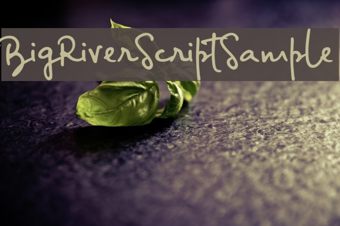 BigRiverScriptSample Font examples