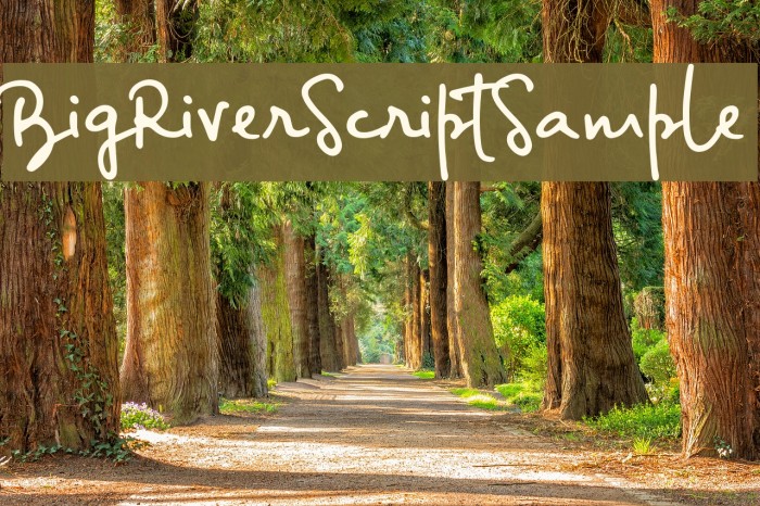BigRiverScriptSample Font examples