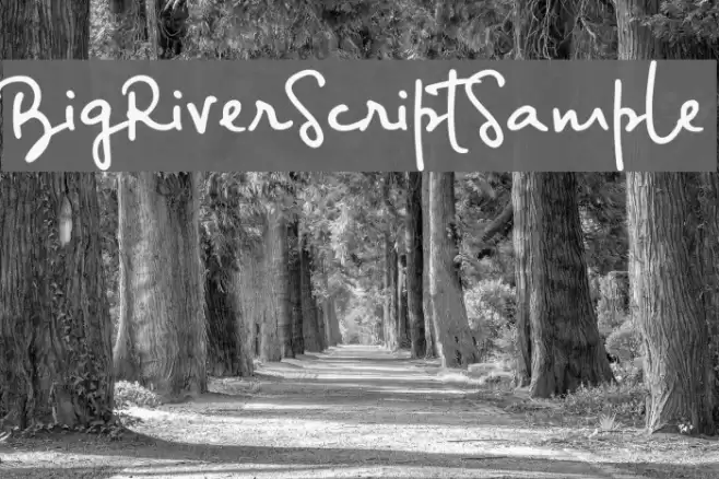 BigRiverScriptSample Font examples