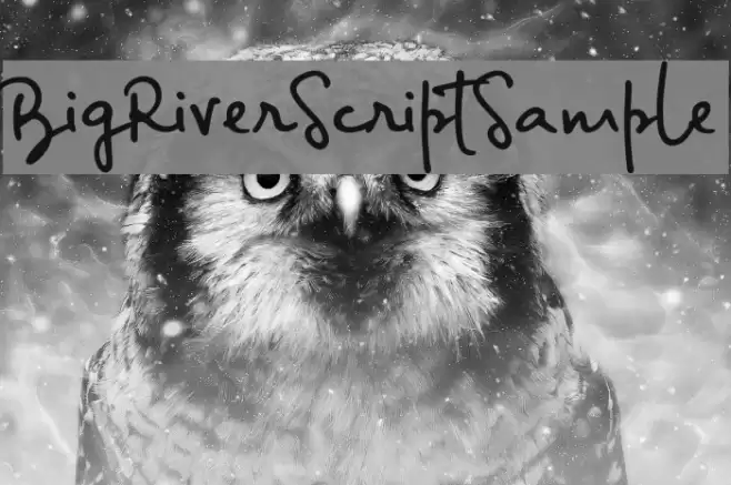 BigRiverScriptSample Font examples
