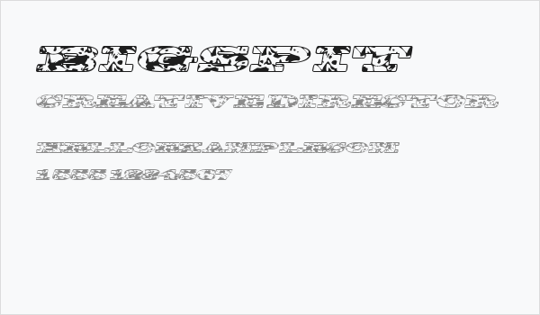 BigSpit Business Card