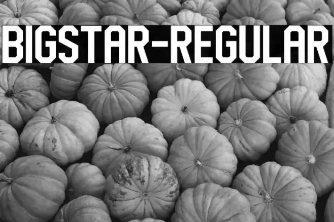 BigStar-Regular Font examples
