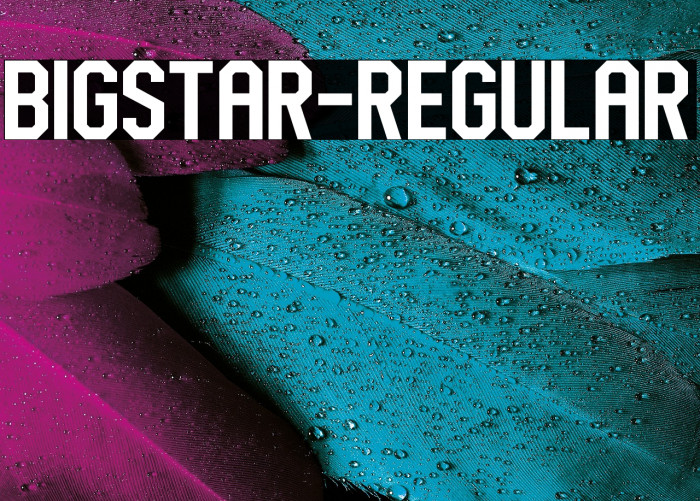 BigStar-Regular Example 3