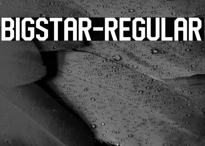 BigStar-Regular Font examples
