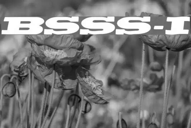 BigSwingingSlabS-Italic Font examples