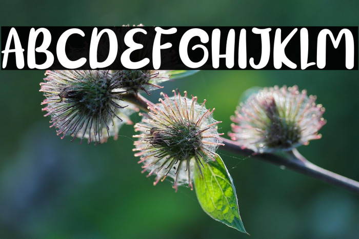 BigTen-Regular Example 1