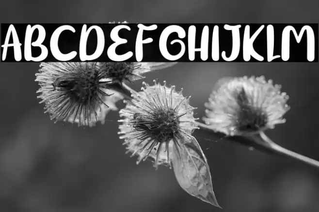 BigTen-Regular Font examples