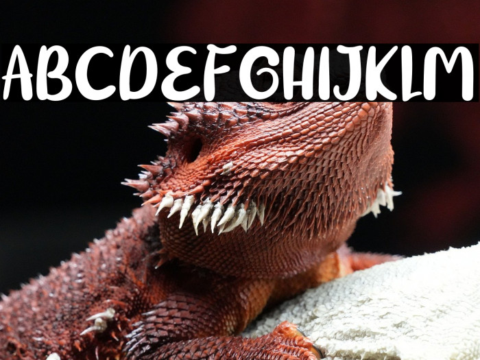 BigTen-Regular Example 2