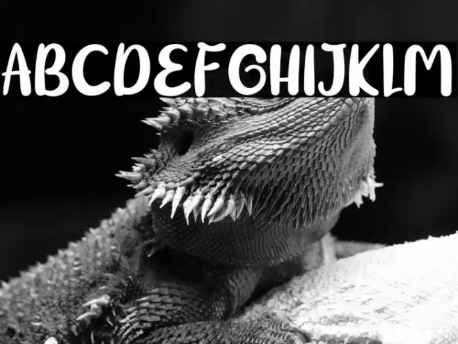 BigTen-Regular Font examples