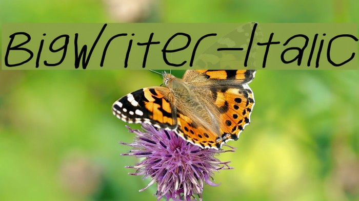 BigWriter-Italic Font examples