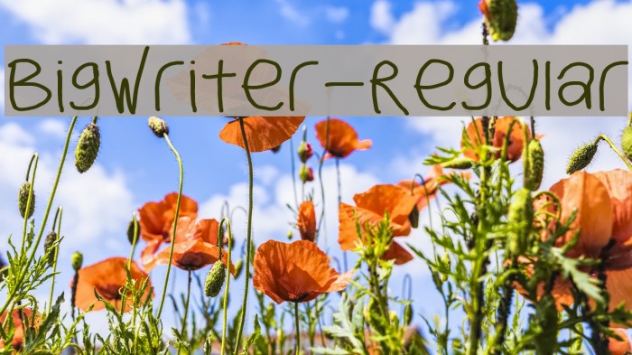 BigWriter-Regular Font examples