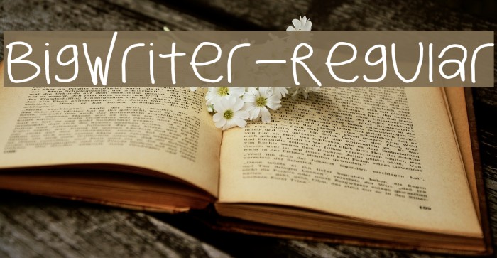 BigWriter-Regular Font examples
