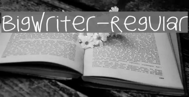 BigWriter-Regular Font examples