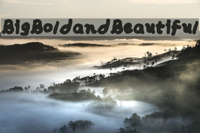 Big__Bold__and_Beautiful Font examples