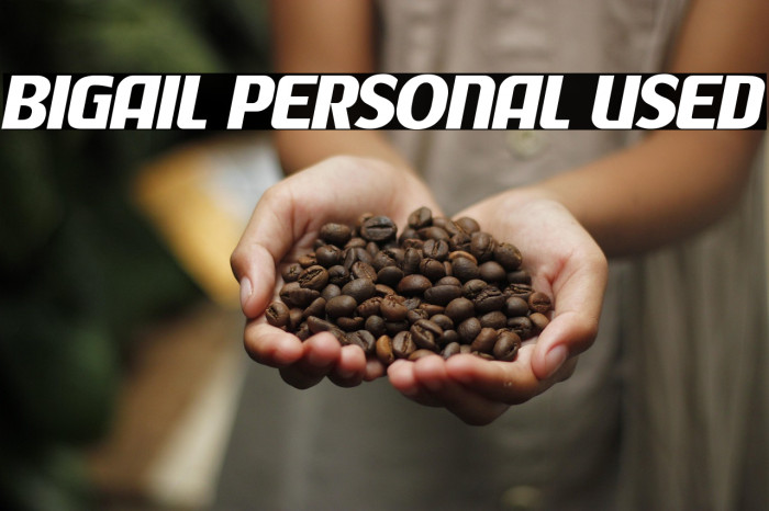 Bigail Personal Used Example 1