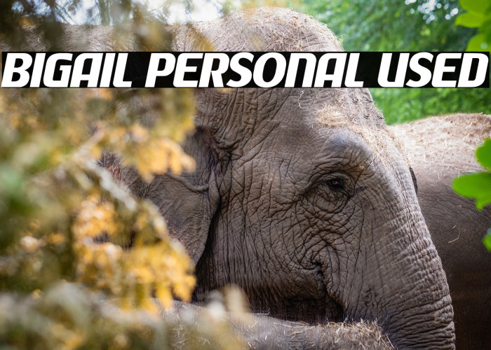 Bigail Personal Used Example 2