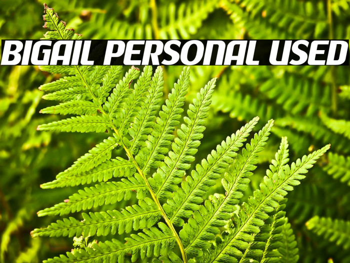 Bigail Personal Used Example 3