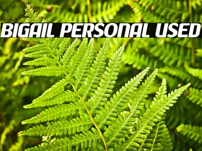 Bigail Personal Used Example 3