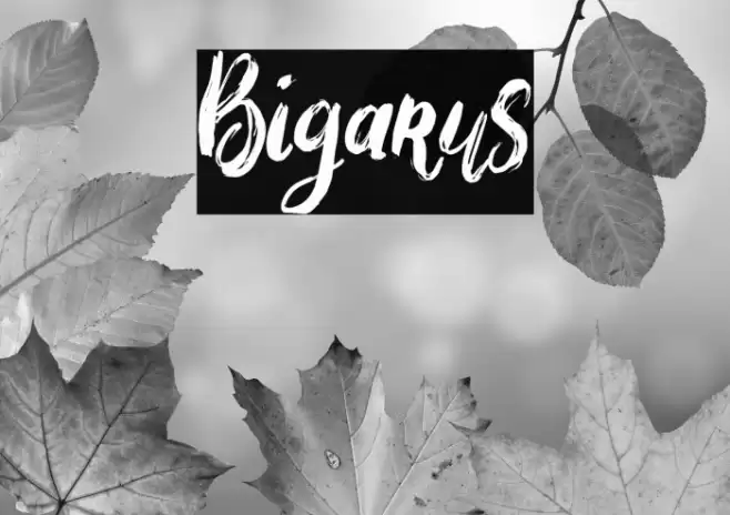 Bigarus Font examples